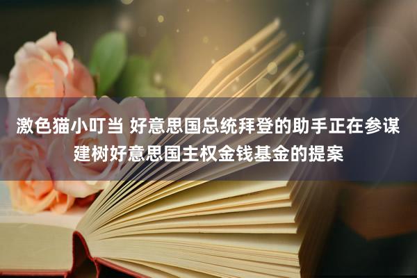 激色猫小叮当 好意思国总统拜登的助手正在参谋建树好意思国主权金钱基金的提案