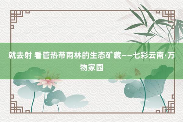 就去射 看管热带雨林的生态矿藏——七彩云南·万物家园