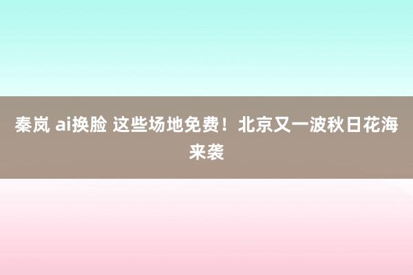 秦岚 ai换脸 这些场地免费！北京又一波秋日花海来袭