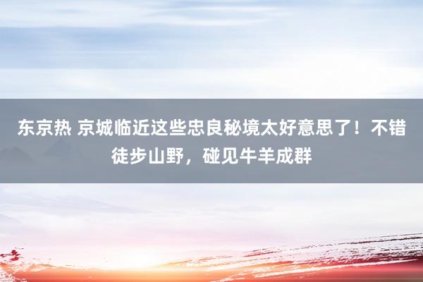 东京热 京城临近这些忠良秘境太好意思了！不错徒步山野，碰见牛羊成群