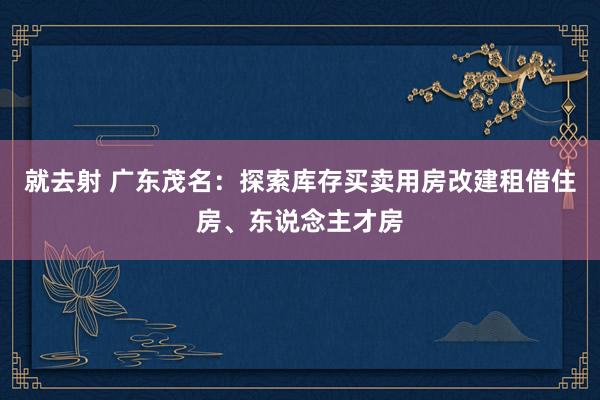 就去射 广东茂名：探索库存买卖用房改建租借住房、东说念主才房