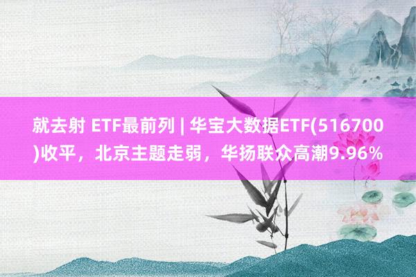 就去射 ETF最前列 | 华宝大数据ETF(516700)收平，北京主题走弱，华扬联众高潮9.96%