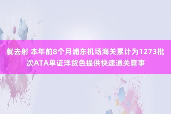 就去射 本年前8个月浦东机场海关累计为1273批次ATA单证洋货色提供快速通关管事