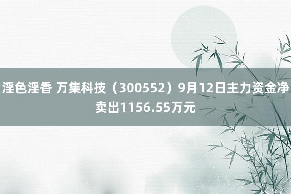 淫色淫香 万集科技（300552）9月12日主力资金净卖出1156.55万元