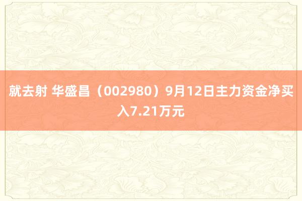 就去射 华盛昌（002980）9月12日主力资金净买入7.21万元