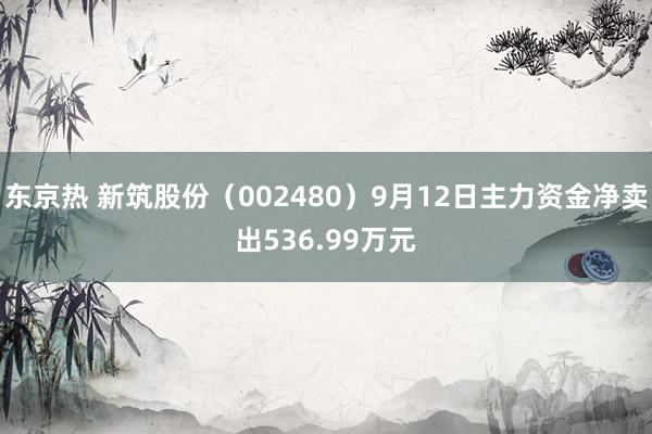 东京热 新筑股份（002480）9月12日主力资金净卖出536.99万元