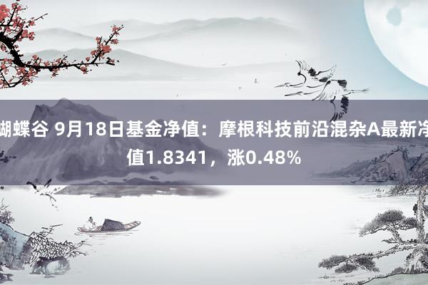 蝴蝶谷 9月18日基金净值：摩根科技前沿混杂A最新净值1.8341，涨0.48%