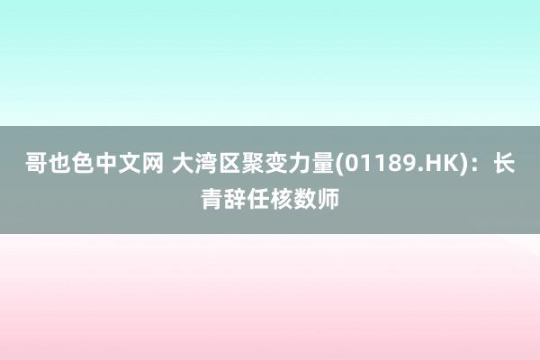 哥也色中文网 大湾区聚变力量(01189.HK)：长青辞任核数师