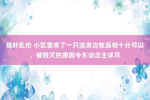 强奸乱伦 小区里来了一只流浪边牧品相十分可以，被毁灭的原因令东说念主详尽