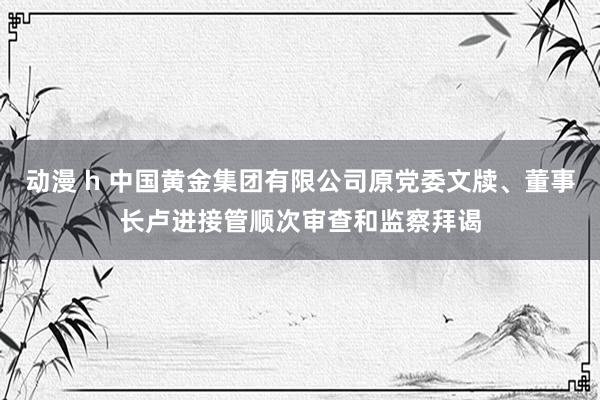 动漫 h 中国黄金集团有限公司原党委文牍、董事长卢进接管顺次审查和监察拜谒