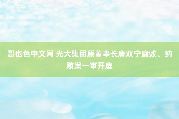 哥也色中文网 光大集团原董事长唐双宁腐败、纳贿案一审开庭