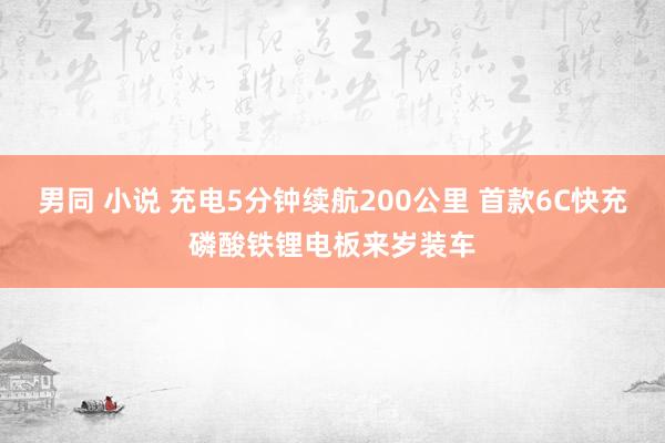 男同 小说 充电5分钟续航200公里 首款6C快充磷酸铁锂电板来岁装车