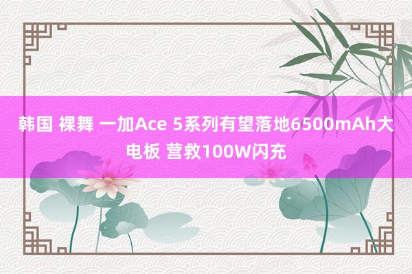 韩国 裸舞 一加Ace 5系列有望落地6500mAh大电板 营救100W闪充