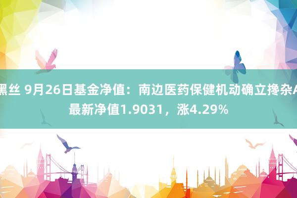 黑丝 9月26日基金净值：南边医药保健机动确立搀杂A最新净值1.9031，涨4.29%