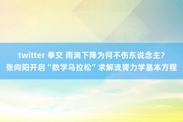 twitter 拳交 雨淌下降为何不伤东说念主？张向阳开启“数学马拉松”求解流膂力学基本方程