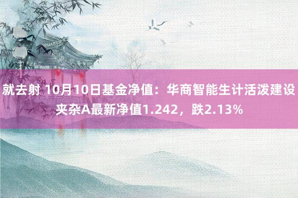 就去射 10月10日基金净值：华商智能生计活泼建设夹杂A最新净值1.242，跌2.13%