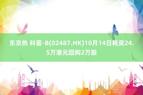 东京热 科笛-B(02487.HK)10月14日耗资24.5万港元回购2万股