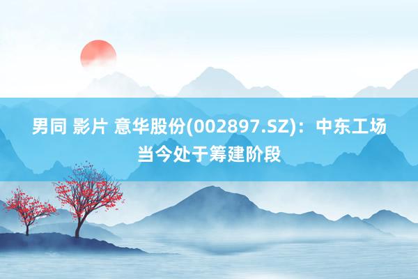 男同 影片 意华股份(002897.SZ)：中东工场当今处于筹建阶段