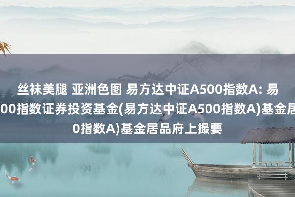 丝袜美腿 亚洲色图 易方达中证A500指数A: 易方达中证A500指数证券投资基金(易方达中证A500指数A)基金居品府上撮要