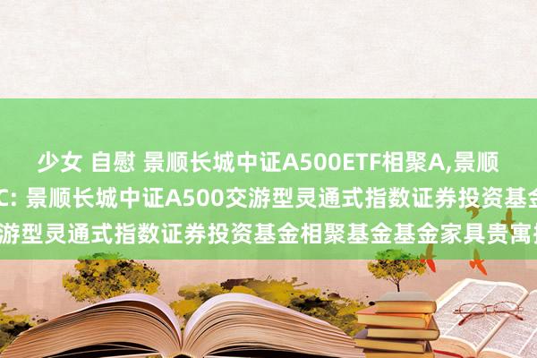 少女 自慰 景顺长城中证A500ETF相聚A，景顺长城中证A500ETF相聚C: 景顺长城中证A500交游型灵通式指数证券投资基金相聚基金基金家具贵寓摘要