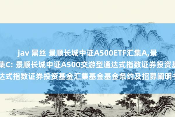 jav 黑丝 景顺长城中证A500ETF汇集A，景顺长城中证A500ETF汇集C: 景顺长城中证A500交游型通达式指数证券投资基金汇集基金基金条约及招募阐明书指示性公告