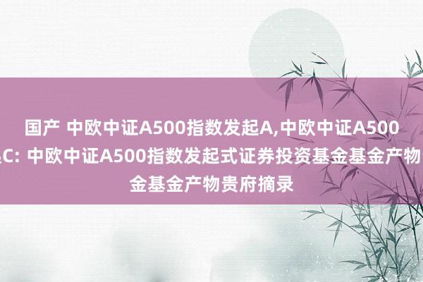 国产 中欧中证A500指数发起A，中欧中证A500指数发起C: 中欧中证A500指数发起式证券投资基金基金产物贵府摘录