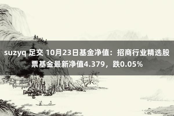 suzyq 足交 10月23日基金净值：招商行业精选股票基金最新净值4.379，跌0.05%