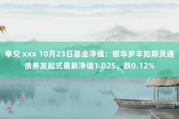 拳交 xxx 10月23日基金净值：银华岁丰如期灵通债券发起式最新净值1.025，跌0.12%