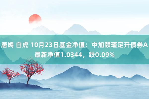 唐嫣 白虎 10月23日基金净值：中加颐瑾定开债券A最新净值1.0344，跌0.09%