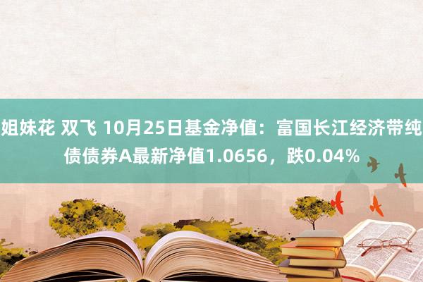 姐妹花 双飞 10月25日基金净值：富国长江经济带纯债债券A最新净值1.0656，跌0.04%