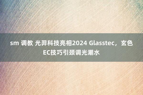 sm 调教 光羿科技亮相2024 Glasstec，玄色EC技巧引颈调光潮水