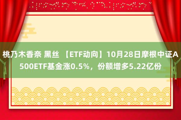 桃乃木香奈 黑丝 【ETF动向】10月28日摩根中证A500ETF基金涨0.5%，份额增多5.22亿份