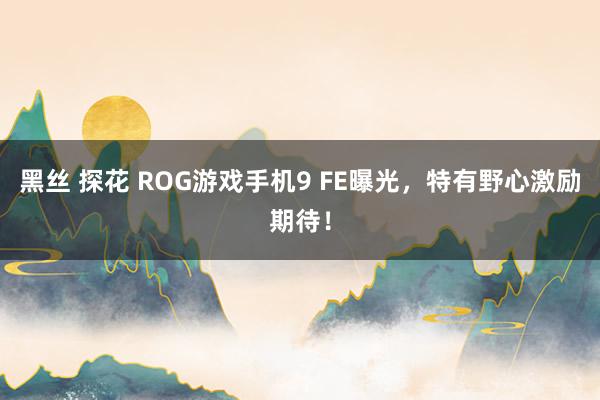 黑丝 探花 ROG游戏手机9 FE曝光，特有野心激励期待！