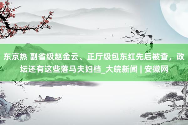 东京热 副省级赵金云、正厅级包东红先后被查，政坛还有这些落马夫妇档_大皖新闻 | 安徽网