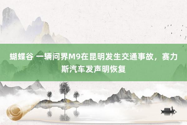 蝴蝶谷 一辆问界M9在昆明发生交通事故，赛力斯汽车发声明恢复