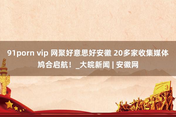 91porn vip 网聚好意思好安徽 20多家收集媒体鸠合启航！_大皖新闻 | 安徽网