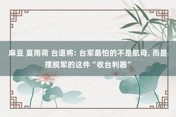 麻豆 夏雨荷 台退将: 台军最怕的不是航母， 而是摆脱军的这件“收台利器”