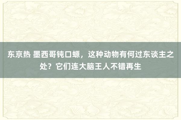 东京热 墨西哥钝口螈，这种动物有何过东谈主之处？它们连大脑王人不错再生