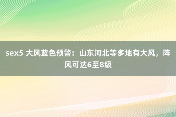 sex5 大风蓝色预警：山东河北等多地有大风，阵风可达6至8级