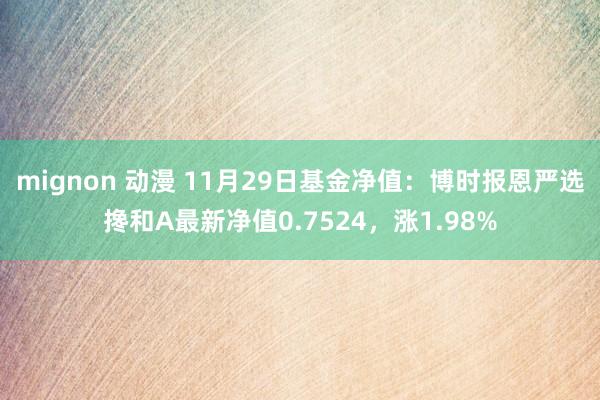 mignon 动漫 11月29日基金净值：博时报恩严选搀和A最新净值0.7524，涨1.98%