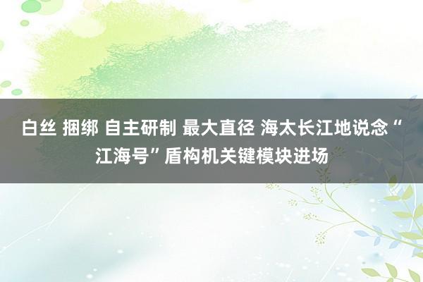 白丝 捆绑 自主研制 最大直径 海太长江地说念“江海号”盾构机关键模块进场