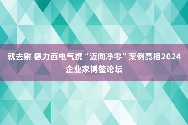 就去射 德力西电气携“迈向净零”案例亮相2024企业家博鳌论坛