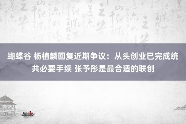 蝴蝶谷 杨植麟回复近期争议：从头创业已完成统共必要手续 张予彤是最合适的联创