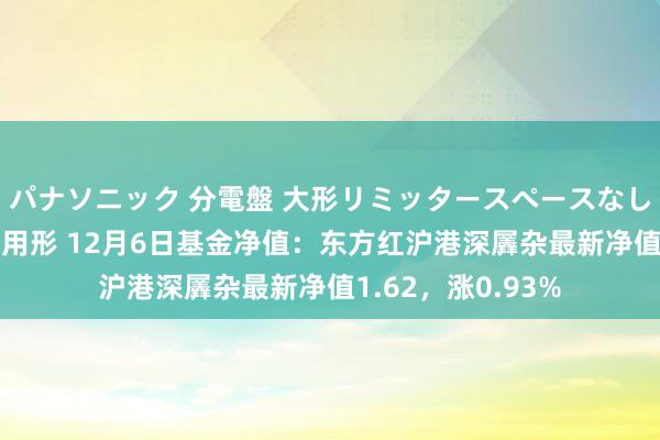 パナソニック 分電盤 大形リミッタースペースなし 露出・半埋込両用形 12月6日基金净值：东方红沪港深羼杂最新净值1.62，涨0.93%