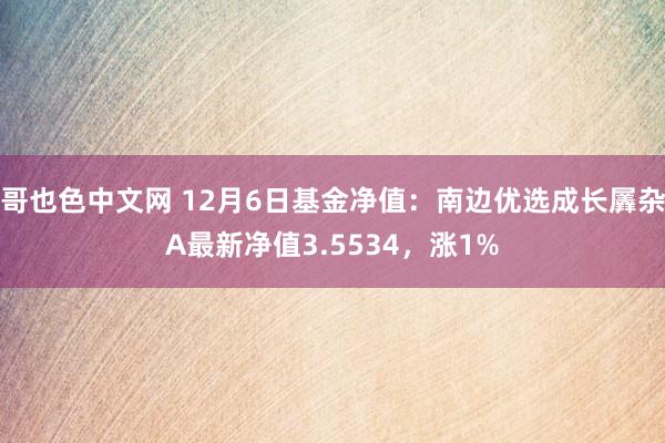 哥也色中文网 12月6日基金净值：南边优选成长羼杂A最新净值3.5534，涨1%