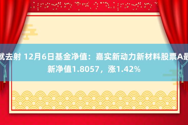 就去射 12月6日基金净值：嘉实新动力新材料股票A最新净值1.8057，涨1.42%