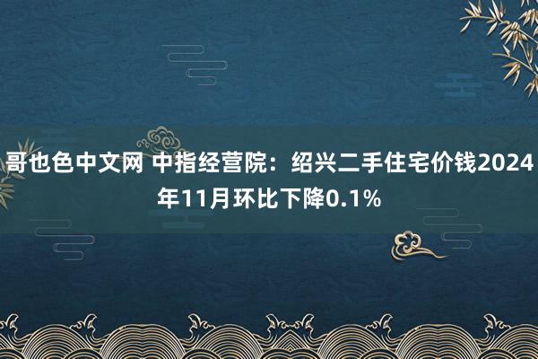 哥也色中文网 中指经营院：绍兴二手住宅价钱2024年11月环比下降0.1%