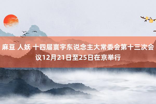 麻豆 人妖 十四届寰宇东说念主大常委会第十三次会议12月21日至25日在京举行