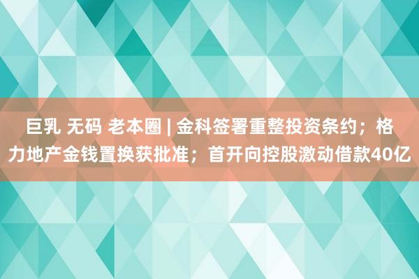 巨乳 无码 老本圈 | 金科签署重整投资条约；格力地产金钱置换获批准；首开向控股激动借款40亿