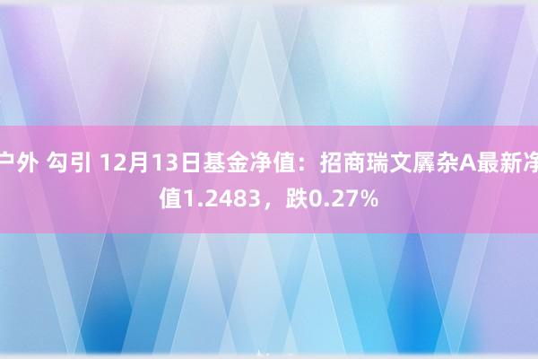 户外 勾引 12月13日基金净值：招商瑞文羼杂A最新净值1.2483，跌0.27%